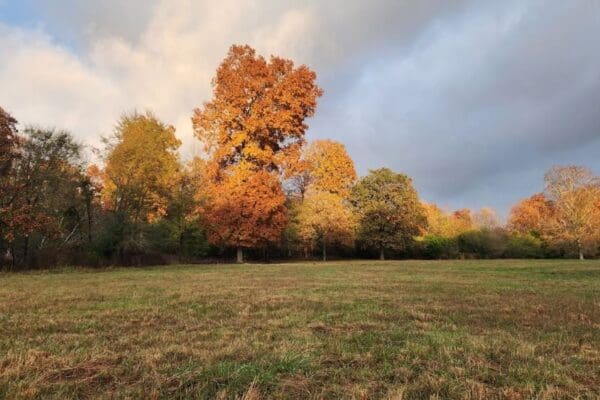 6216899437032054265